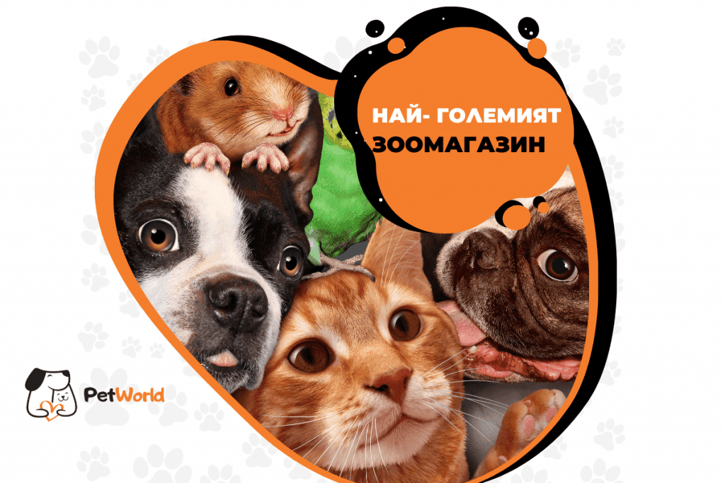 Най-големият зоомагазин в света