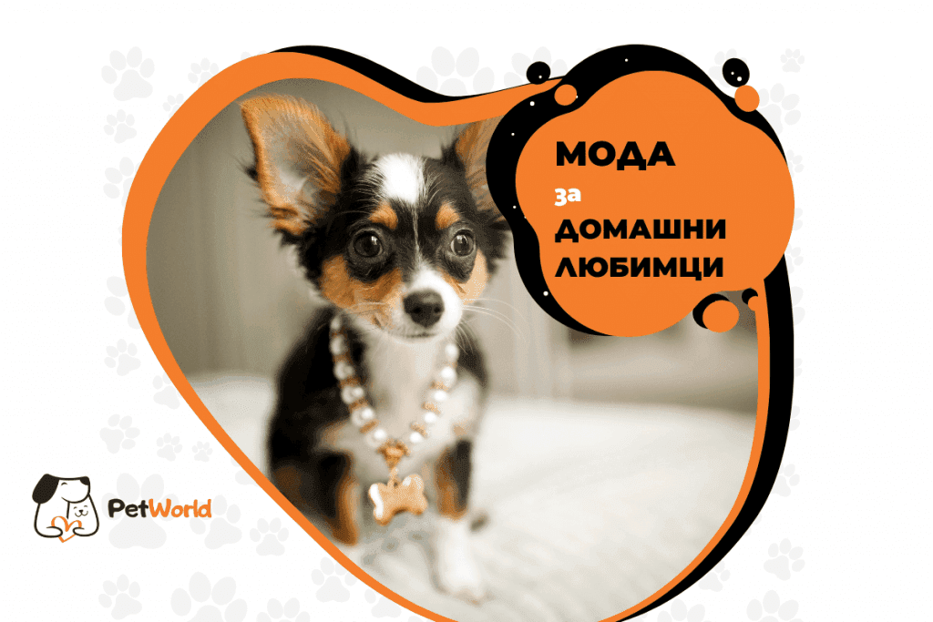 Кучешка мода